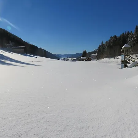 La Resilience, Au Pied Des Pistes A * Autrans-Meaudre-en-Vercors